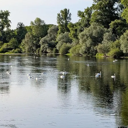 Petit Mas Cosy Du Bord De Loire A 15 Mm Du Parc Le Pal 아파트 Diou (Allier)