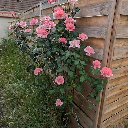 Petit Mas Cosy Du Bord De Loire A 15 Mm Du Parc Le Pal Апартаменты *