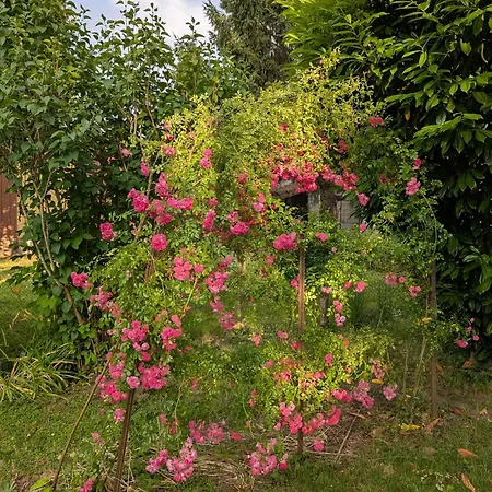 Petit Mas Cosy Du Bord De Loire A 15 Mm Du Parc Le Pal