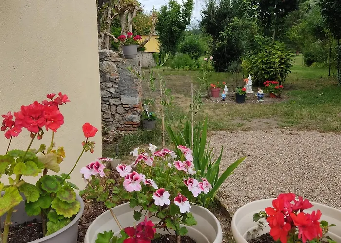 Petit Mas Cosy Du Bord De Loire A 15 Mm Du Parc Le Pal Diou (Allier)