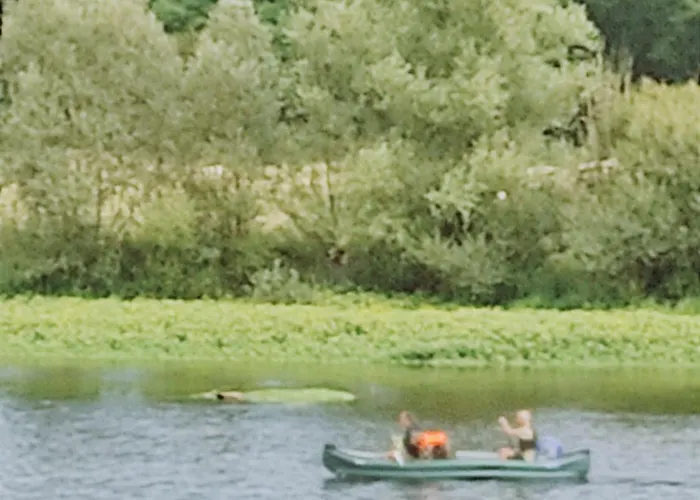 Petit Mas Cosy Du Bord De Loire A 15 Mm Du Parc Le Pal Διαμέρισμα Diou (Allier)