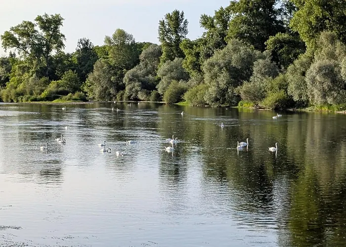 Petit Mas Cosy Du Bord De Loire A 15 Mm Du Parc Le Pal Apartment Diou (Allier)