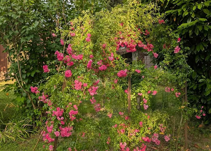 Petit Mas Cosy Du Bord De Loire A 15 Mm Du Parc Le Pal