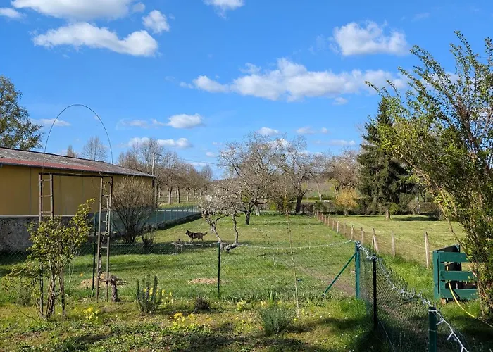 Apartment Petit Mas Cosy Du Bord De Loire A 15 Mm Du Parc Le Pal *